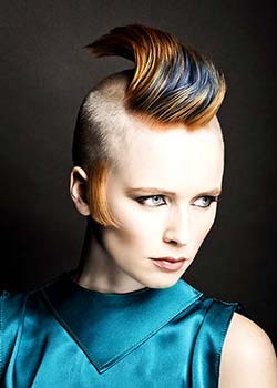 Immagine HAIRFASHION ALLILON ART TEAM A584-08.jpg