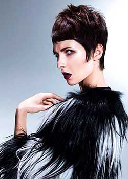 Immagine HAIRFASHION LISA WALBY - FRANCESCO GROUP A671-03.jpg