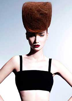 Immagine HAIRFASHION LISA WALBY - FRANCESCO GROUP A671-04.jpg