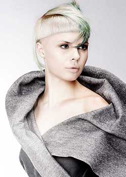 Immagine HAIRFASHION ALLILON ART TEAM A856-04.jpg