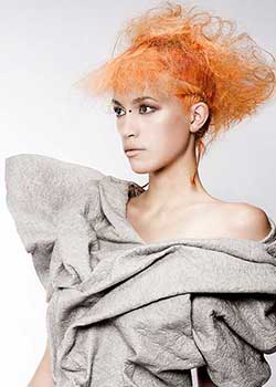 Immagine HAIRFASHION ALLILON ART TEAM A856-11.jpg