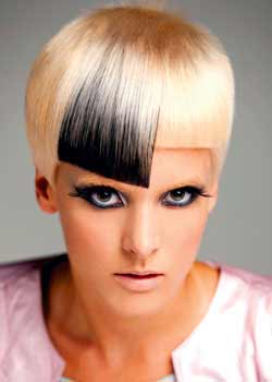 Immagine HAIRFASHION HAJAS ArtisticTeam-2011-170-07.jpg