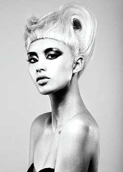 Immagine HAIRFASHION DANIELLA BARCA - ROKK EBONY B029-05.jpg