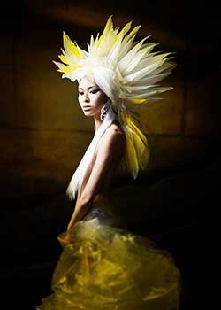 Immagine HAIRFASHION ERIKA FUNG B087-01.jpg