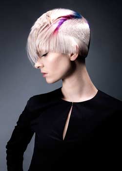 Immagine HAIRFASHION ALLILON ART TEAM B175-06.jpg