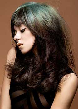 Immagine HAIRFASHION HUUB EYSINK B239-03.jpg