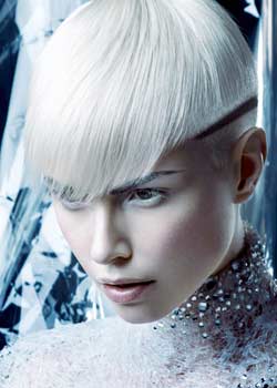 Immagine HAIRFASHION KLAUS PETER OCHS B288-02.jpg