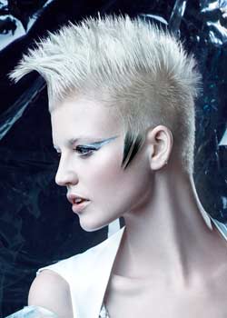 Immagine HAIRFASHION KLAUS PETER OCHS B288-10.jpg