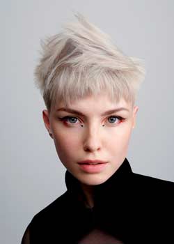 Immagine HAIRFASHION MARK HAYES B347-05.jpg