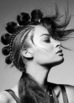 Immagine HAIRFASHION Harry Casey B684-06.jpg