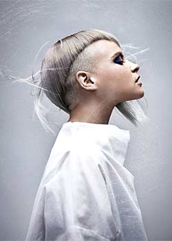 Immagine HAIRFASHION TRAVIS BANDIERA B728-01.jpg