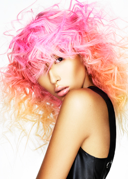 Immagine HAIRFASHION Robert Eaton B900-01.jpg