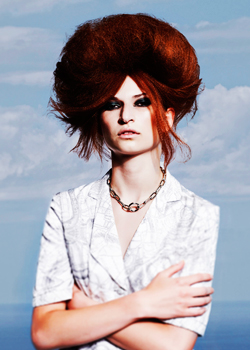 Immagine HAIRFASHION IAN DAVIES C/C207-04.jpg