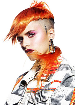 Immagine HAIRFASHION Anna Barroca D/C879_04.jpg