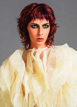 Immagine HAIRFASHION ROBERT KIRBY D/C917-04.jpg