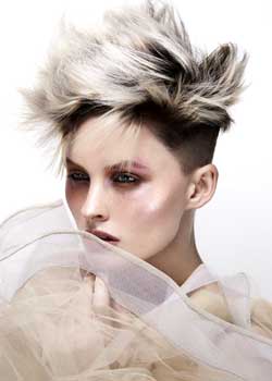 Immagine HAIRFASHION TRAVIS BANDIERA D/Travis_Bandiera_06.jpg