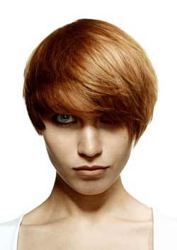 Immagine HAIRFASHION SASSOON vidal-sassoon_02.jpg