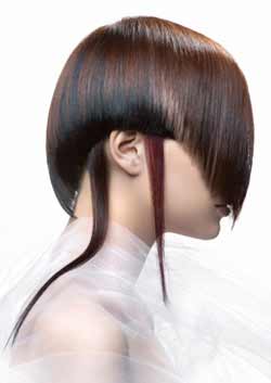 Immagine HAIRFASHION ZGAT ART TEAM zgat_artteam_02.jpg